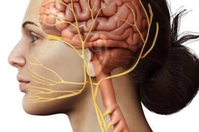 Vagus Nerve